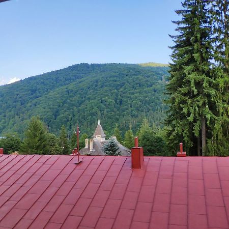 Apartmán Cozy Loft At Teleferic Sinaia Exteriér fotografie
