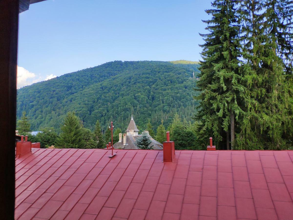 Apartmán Cozy Loft At Teleferic Sinaia Exteriér fotografie