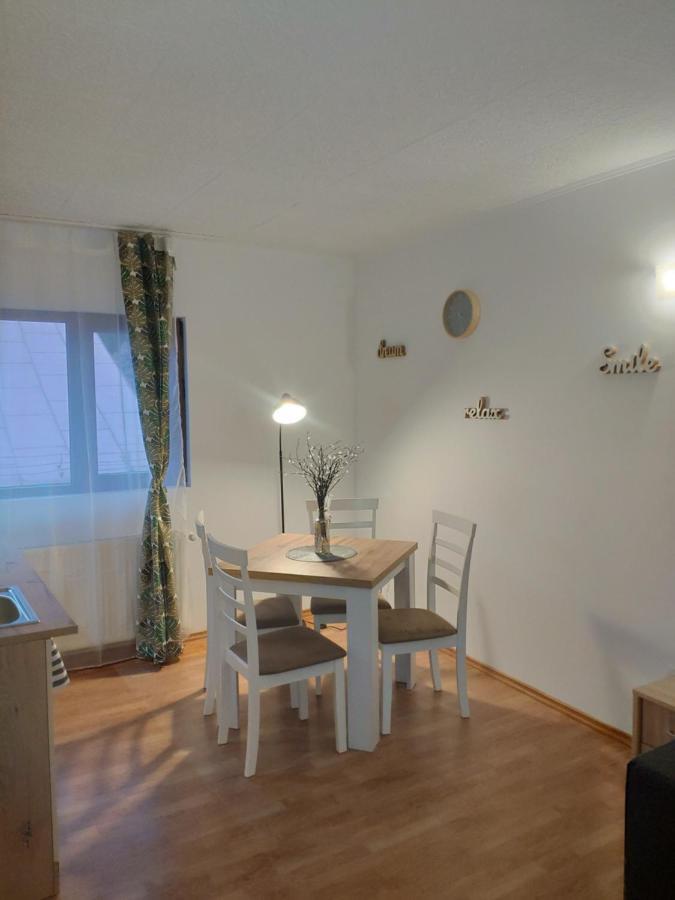 Apartmán Cozy Loft At Teleferic Sinaia Exteriér fotografie