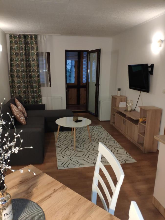Apartmán Cozy Loft At Teleferic Sinaia Exteriér fotografie